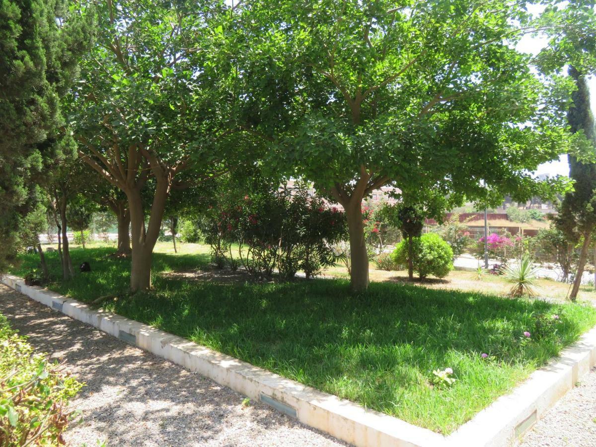 Ibis Oran Les Falaises Luaran gambar